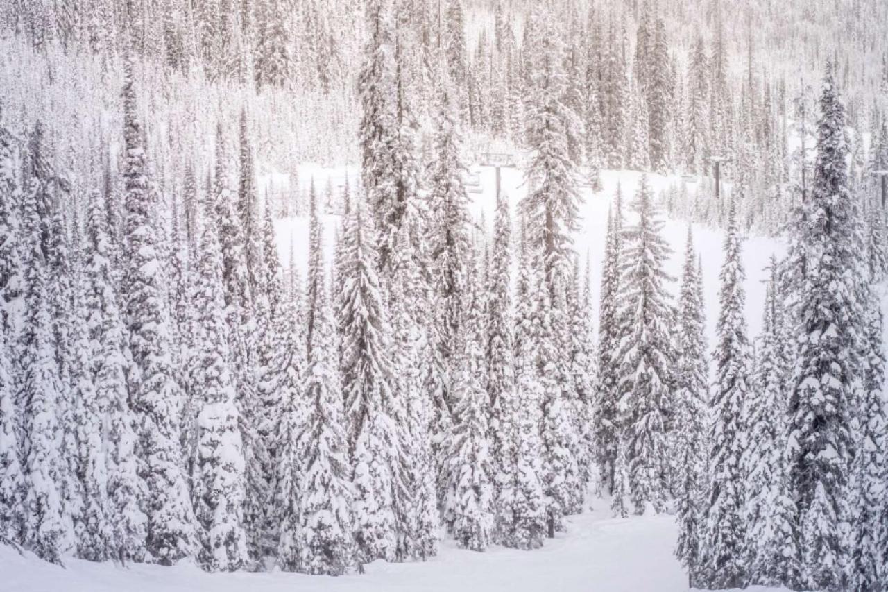 Little Nell Condo #3 Aspen Exteriér fotografie